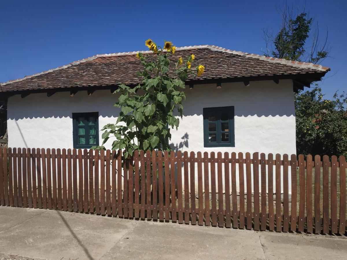 Stara Kovacnica Villa Golubac Exterior photo